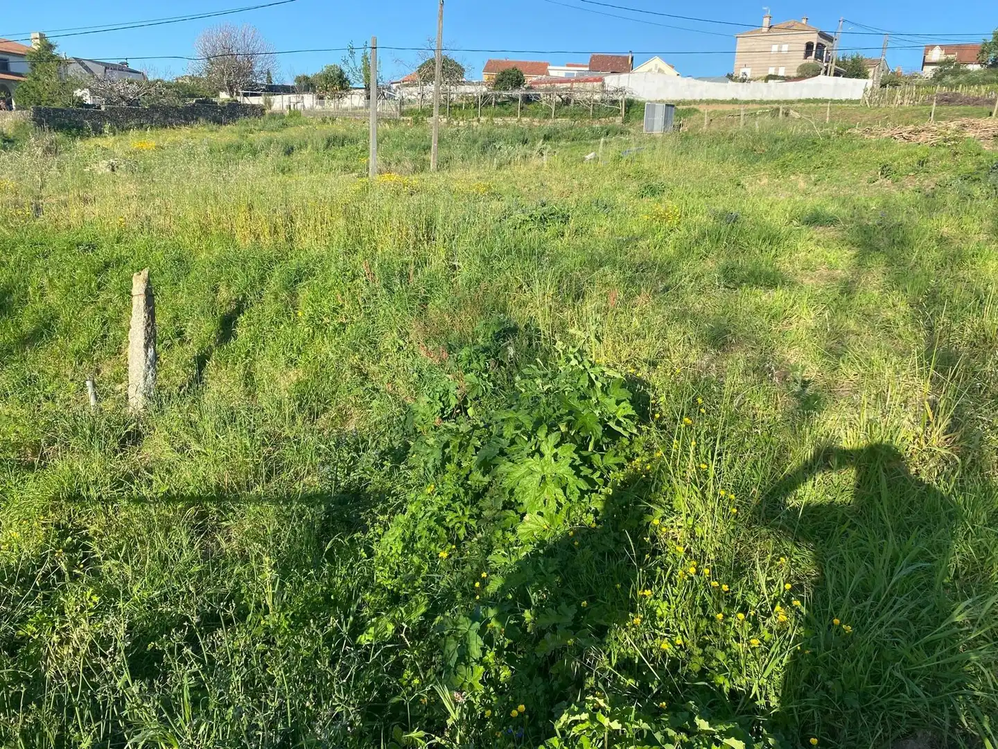 Terrain rustique à vendre à CU DA VIÑA-BEADE, imagen 7