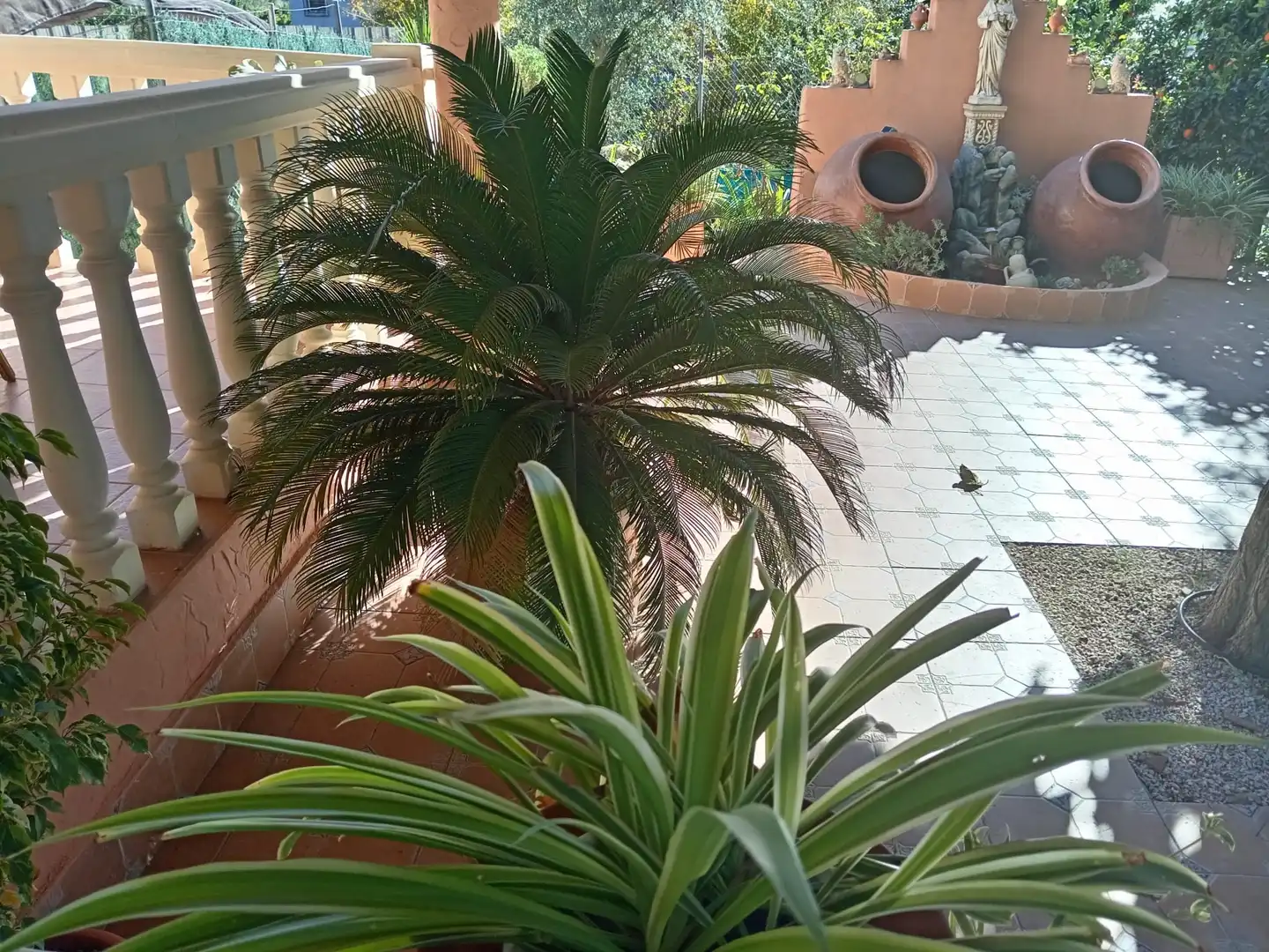 Jardín de Casa o chalet en venta en Murcia con Aire acondicionado, Jardín privado y Terraza