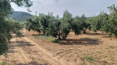 Foto 2 von Fabrikhallen zum Verkauf in Botarell, Tarragona