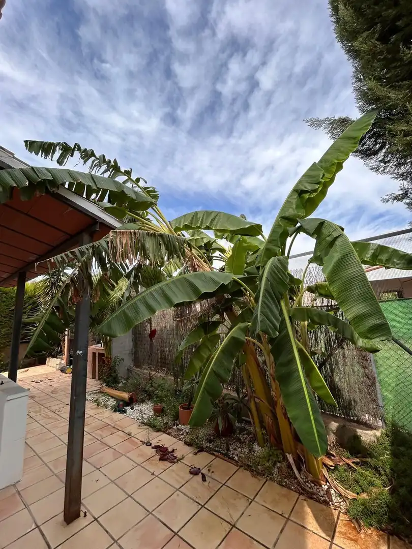 Villa zum Verkauf in Pedanías Oeste, imagen 36