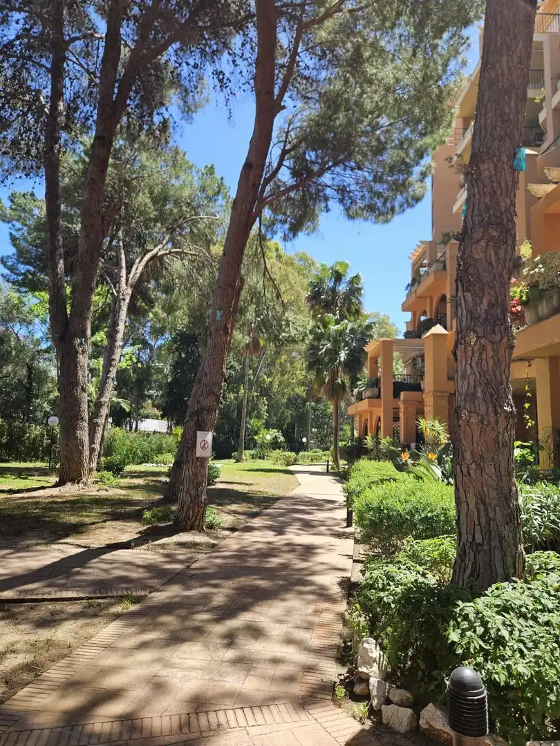 Apartment with pool for sale in Las Gaviotas  - Carvajal, imagen 27