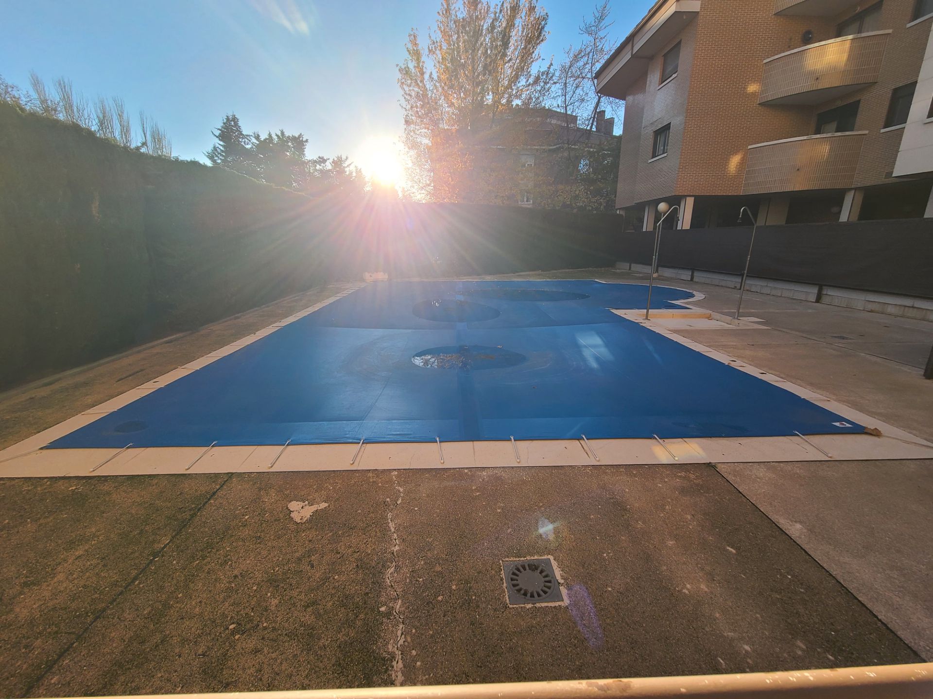 Swimming pool of Flat to rent in Valladolid Capital