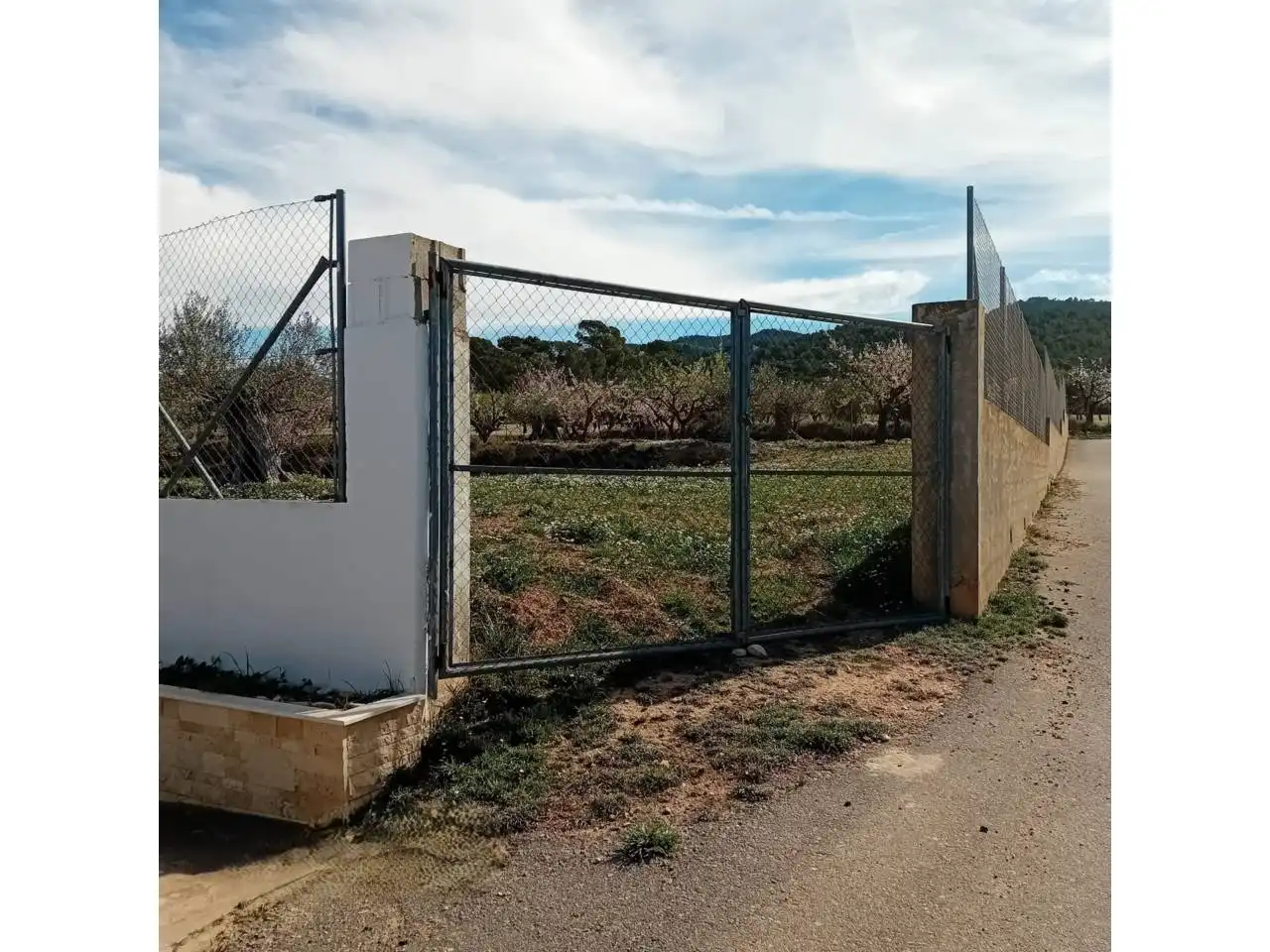 Terreno rústico en venta en Poligono ELS PLANS