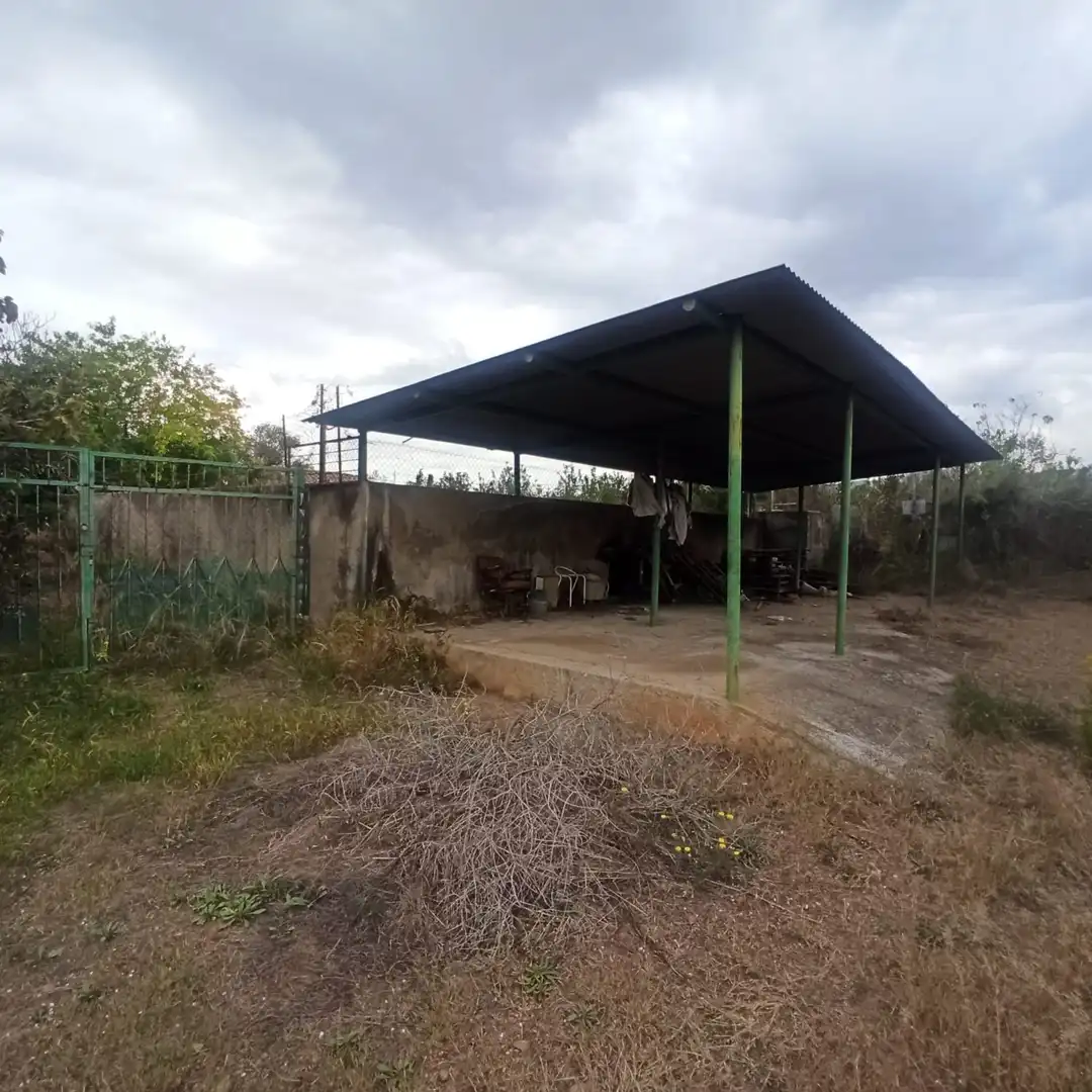 Finca rústica en venta en La Selva del Camp