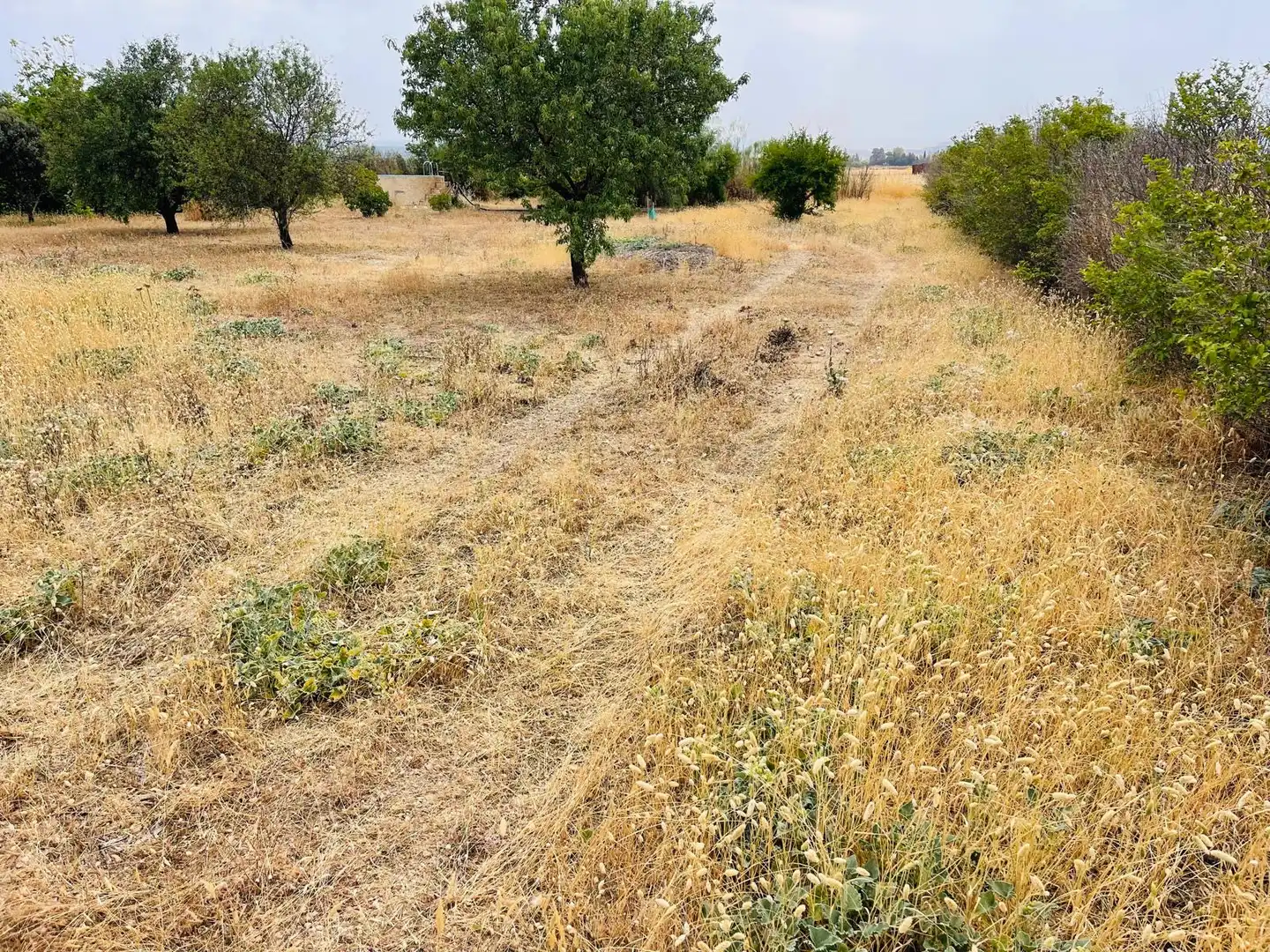 Terrenys i solars en venda a Zona de la Vega, imagen 7