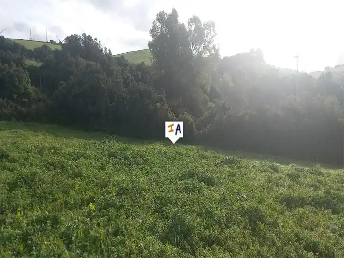 Terreni e lotti in vendita a Barbate ciudad, imagen 11