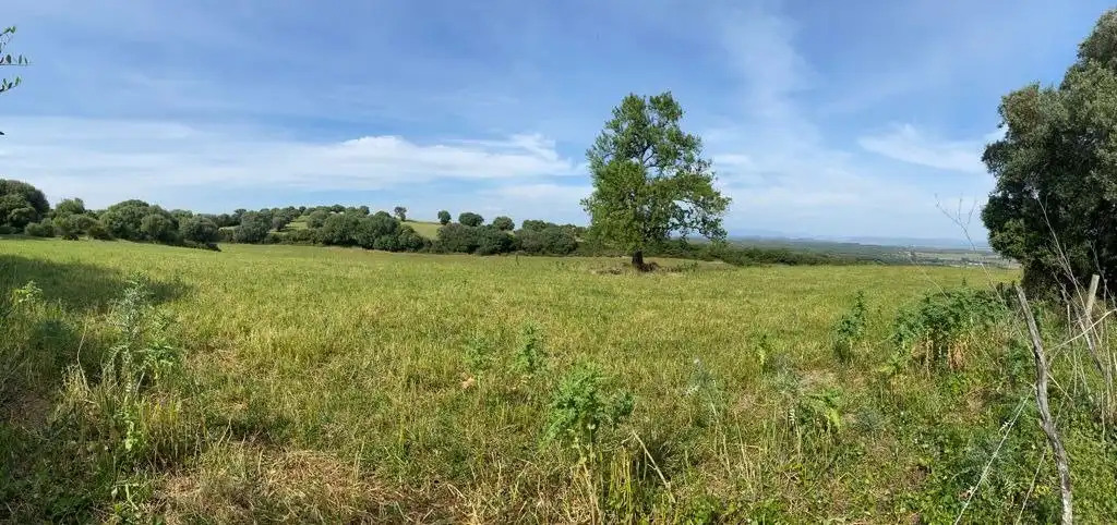 Terrain rustique à vendre à Vejer, imagen 6