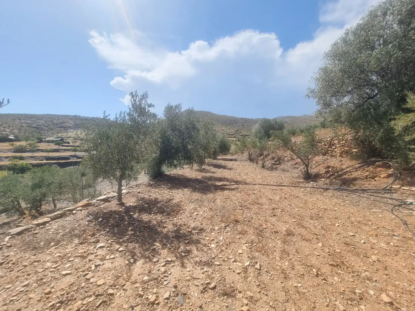 Terreno en venta en Senés