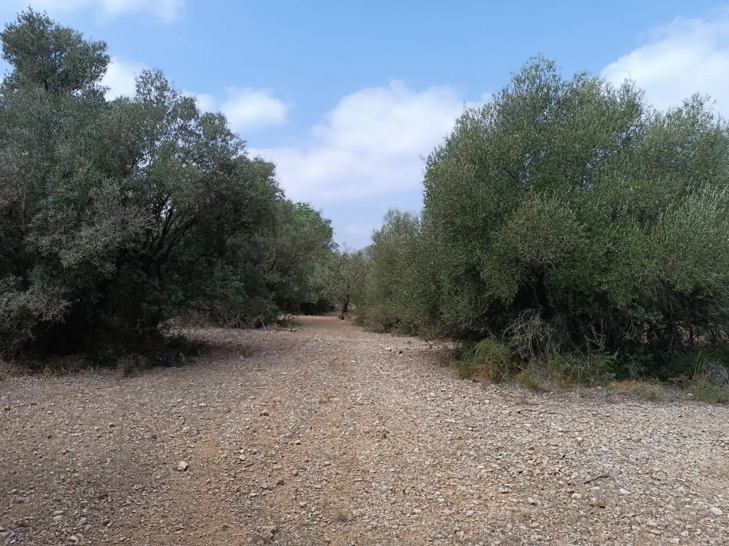 Terreno rústico en venta en Carrer de Sant Llorenç 3, imagen 3