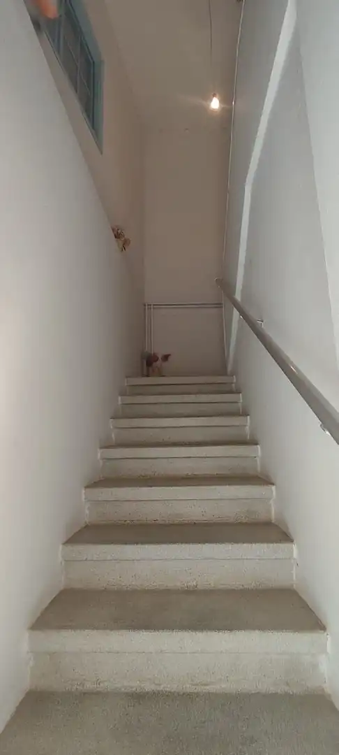 Casa o chalet en venta en Destriana