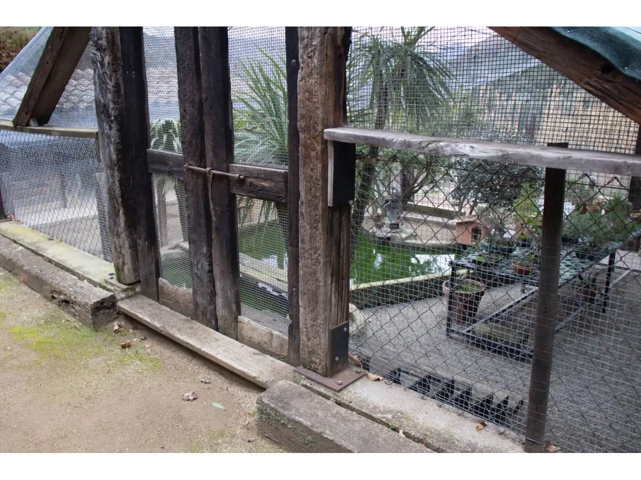 Maison avec piscine à vendre à Calle JOAQUIM MIR, imagen 22
