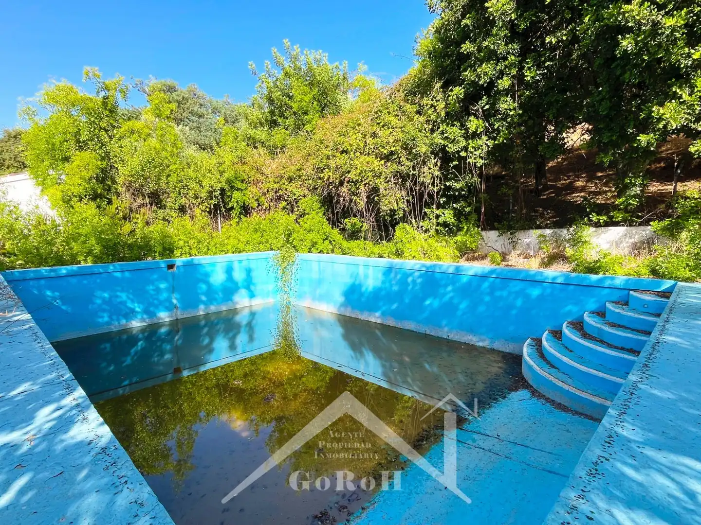 Swimming pool of Land for sale in Constantina
