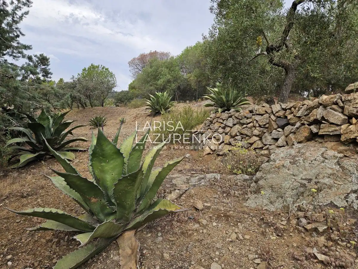 Casa o chalet en venta en Riudecanyes con Aire acondicionado, Calefacción y Trastero