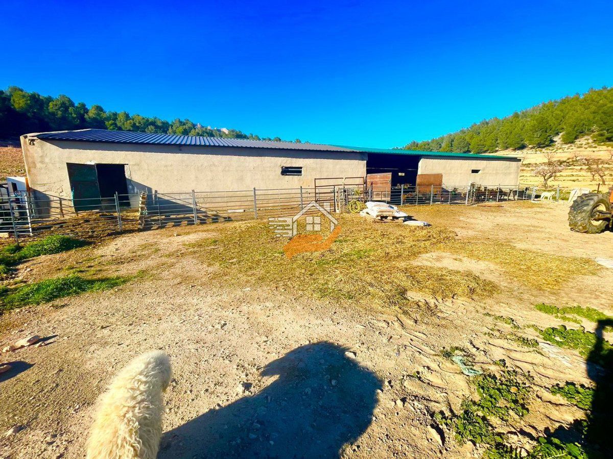 Industrial buildings for sale in Vélez-Rubio