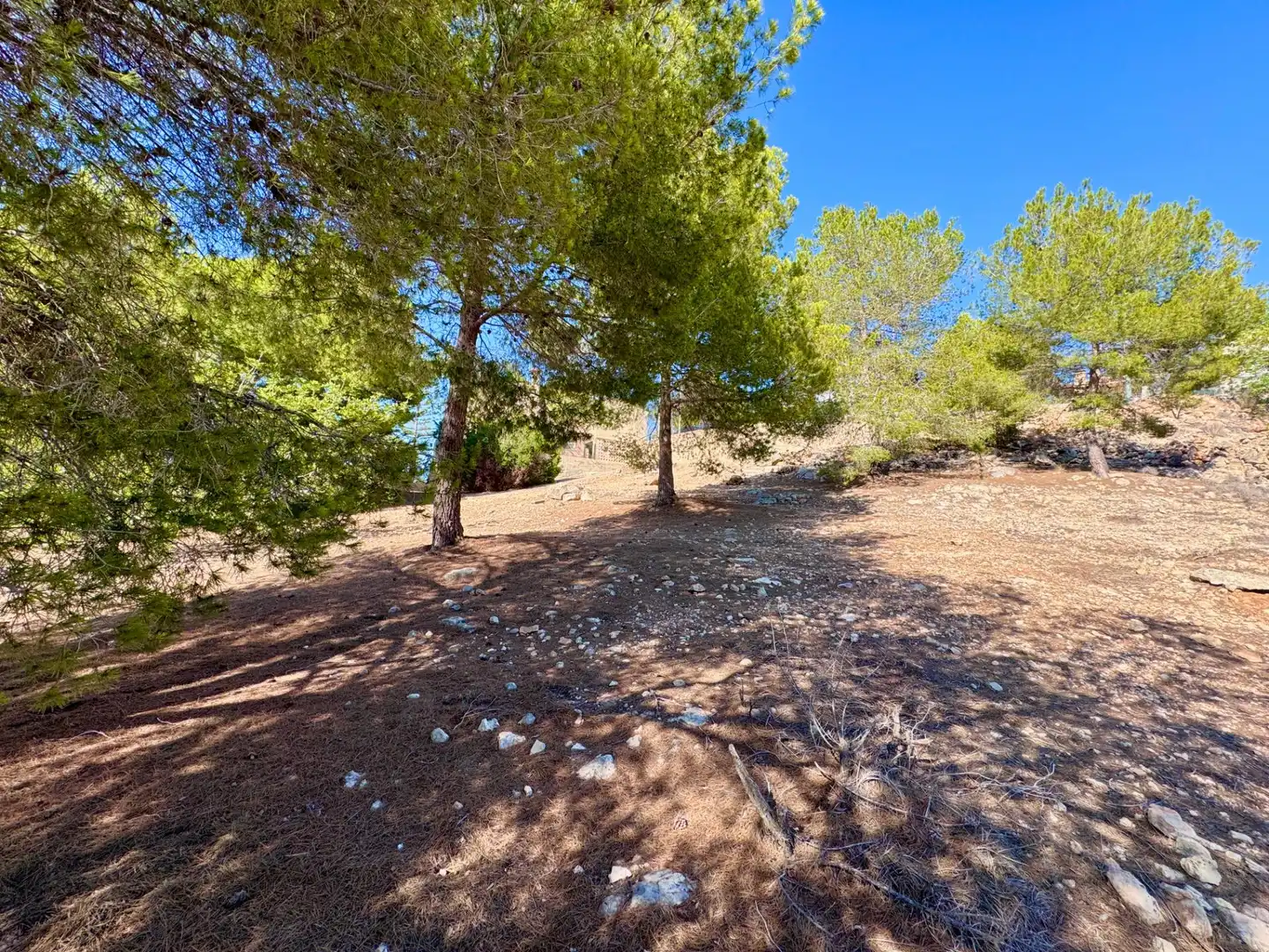 Terreny residencial en venda a Calle PICOS D EUROPA-STO DOMING 58, imagen 11