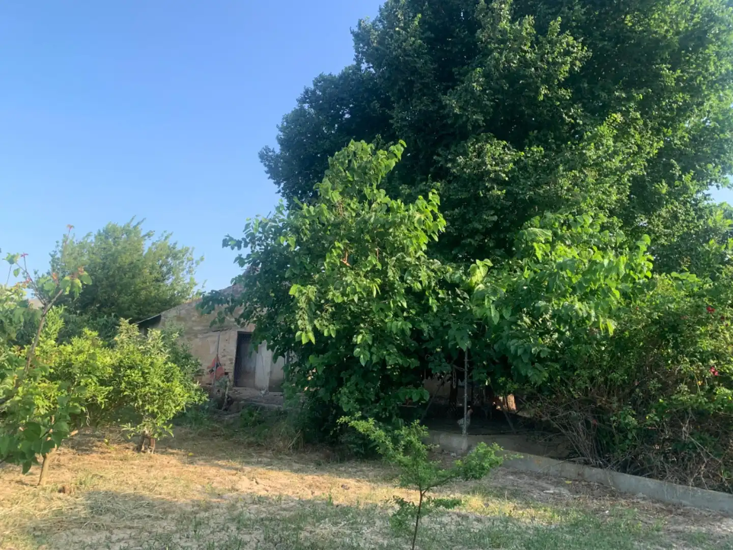 Finca rústica en venda a Alquerías