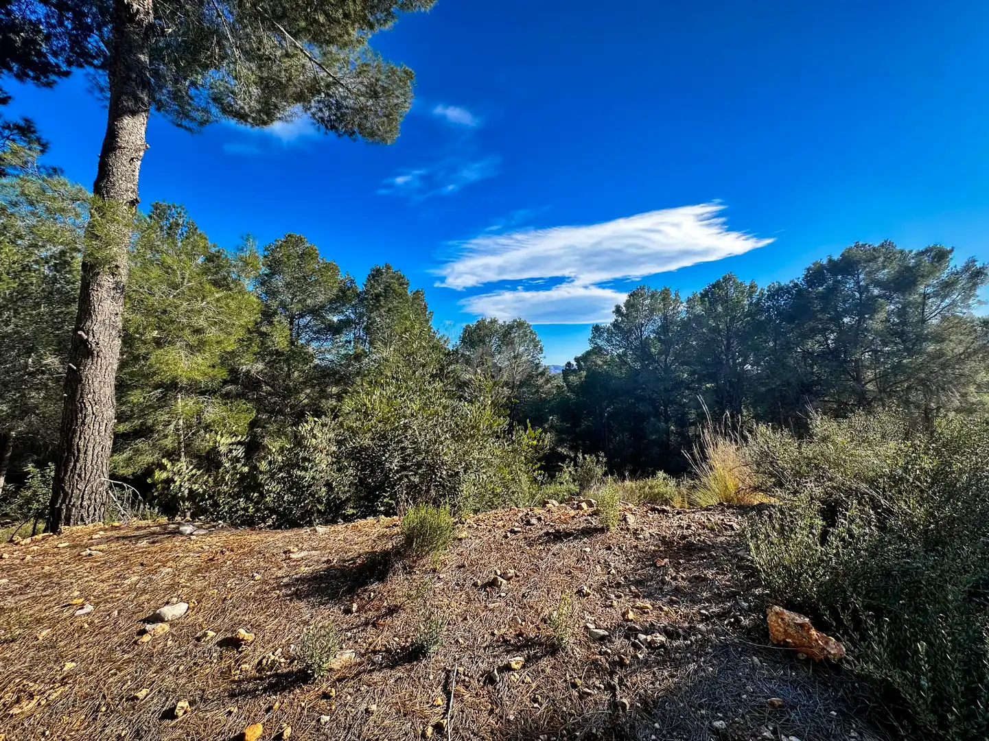 Terreno en venta en Polop