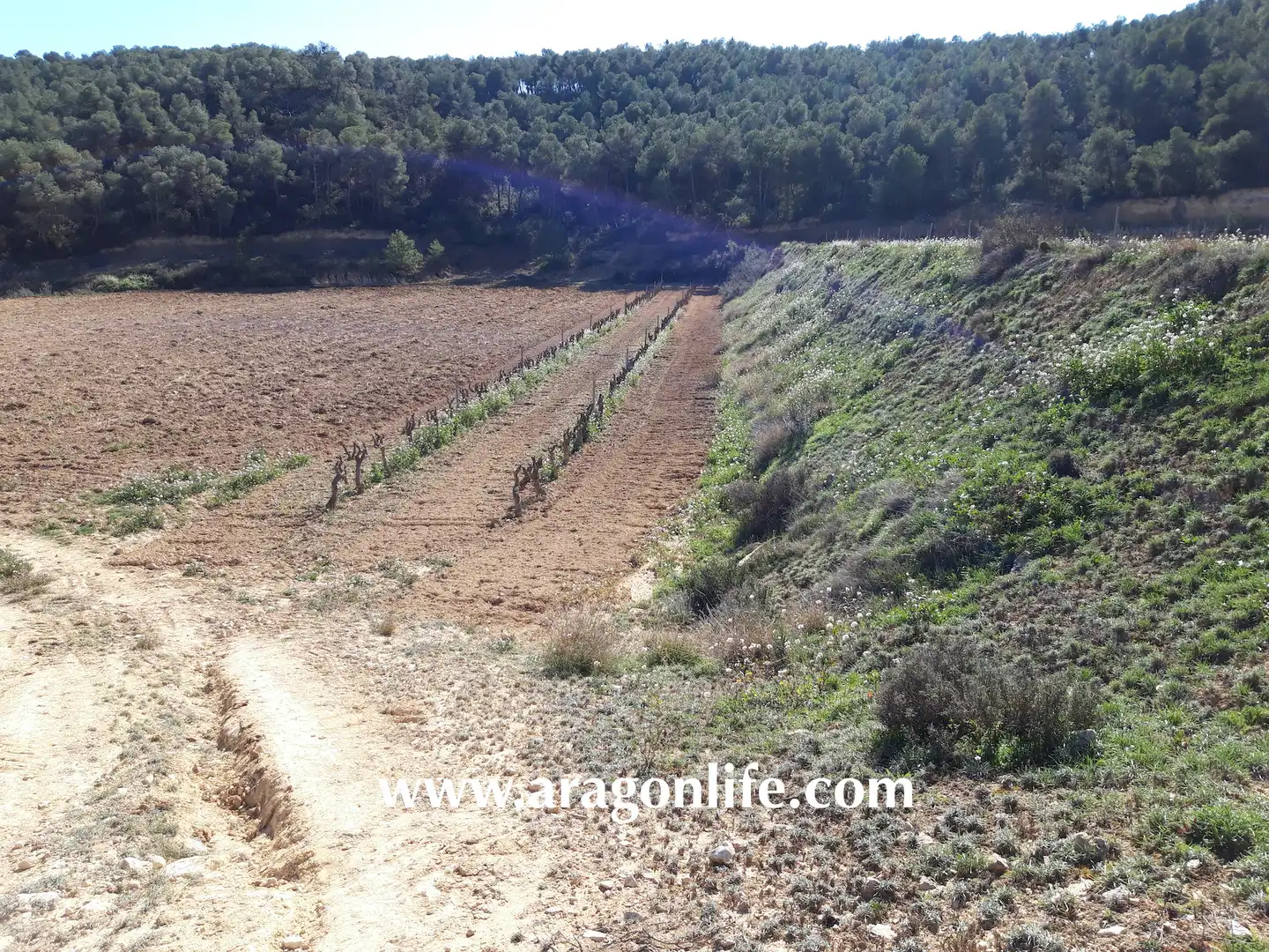Finca rústica en venta en Nonaspe