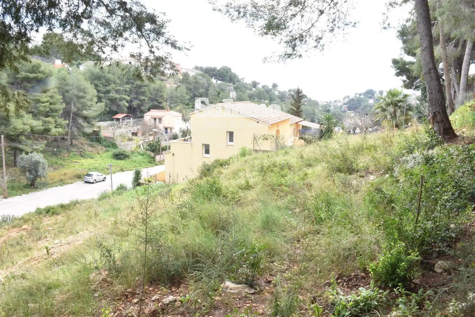 Rural land for sale in GLADIOL, imagen 6