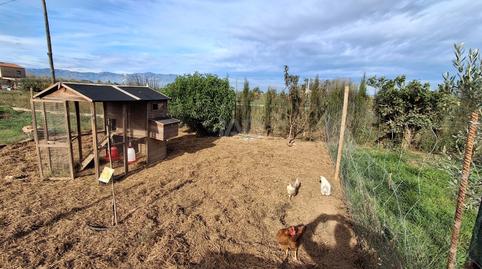Foto 5 de Casa o xalet en venda a Grau - Quintanes, Amposta
