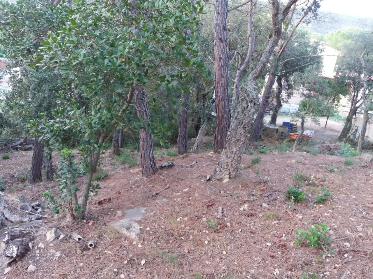 Terreno residencial en venta en Avinguda del Bell-lloc, imagen 5