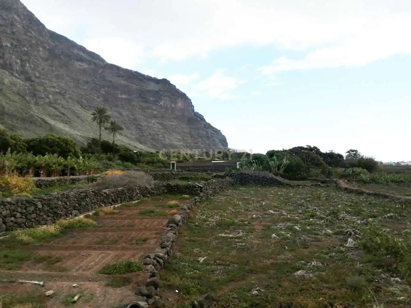 Land for sale in Valle Gran Rey