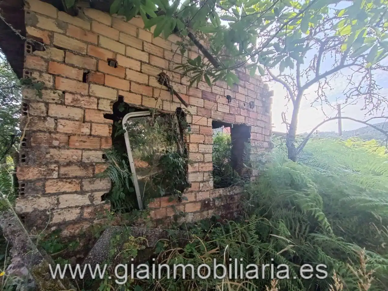 Casa en venta en Calle Ceo, imagen 22