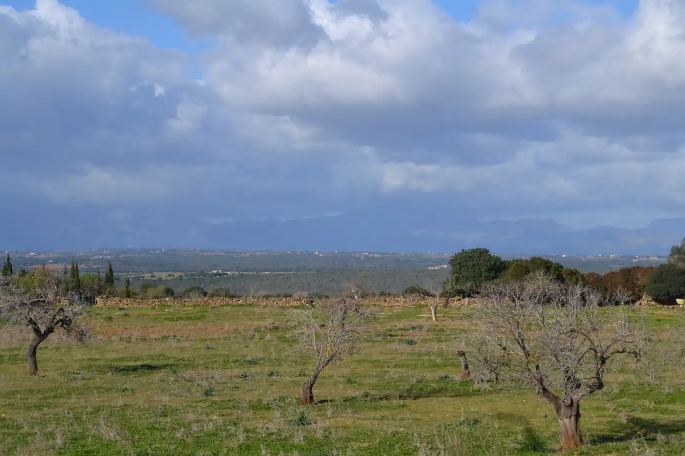 Maison rustique à vendre à Manacor Centre, imagen 8