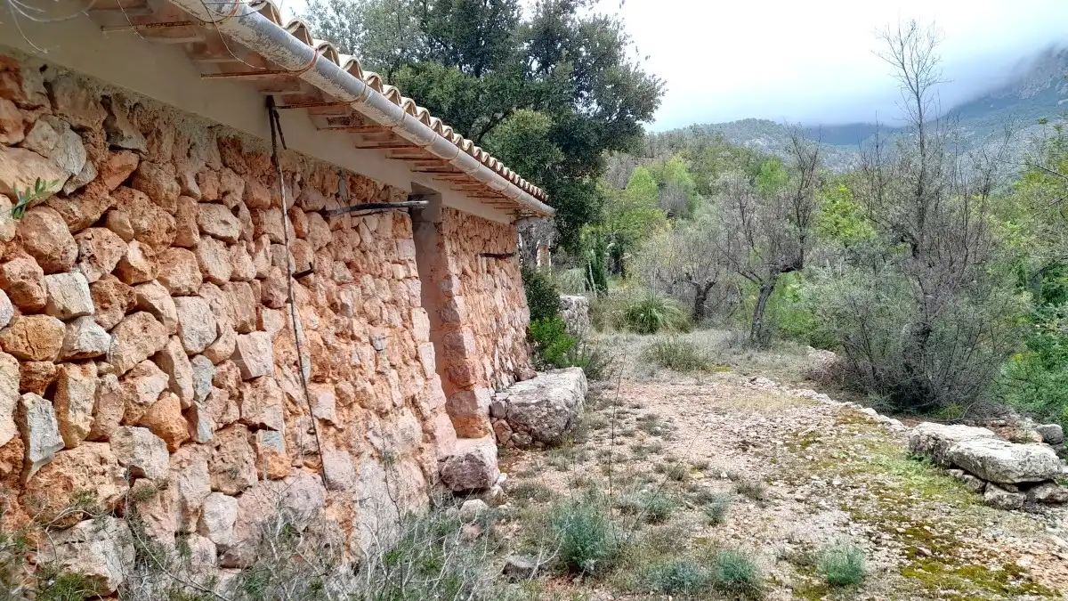 Terreny rústic en venda a Fornalutx, imagen 2