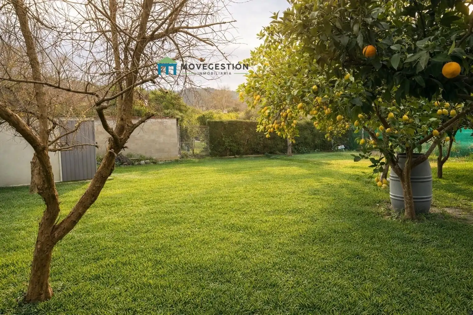 Finca rústica en venta en Benaocaz