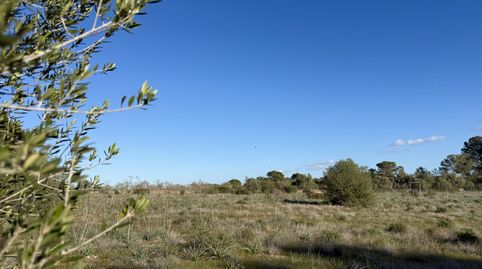 Propiedad, immagine 3