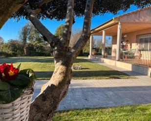 Jardí de Casa o xalet en venda en Ciudad Real Capital amb Aire condicionat i Piscina