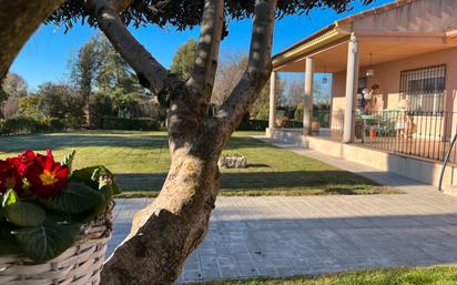 Jardí de Casa o xalet en venda en Ciudad Real Capital amb Aire condicionat i Piscina