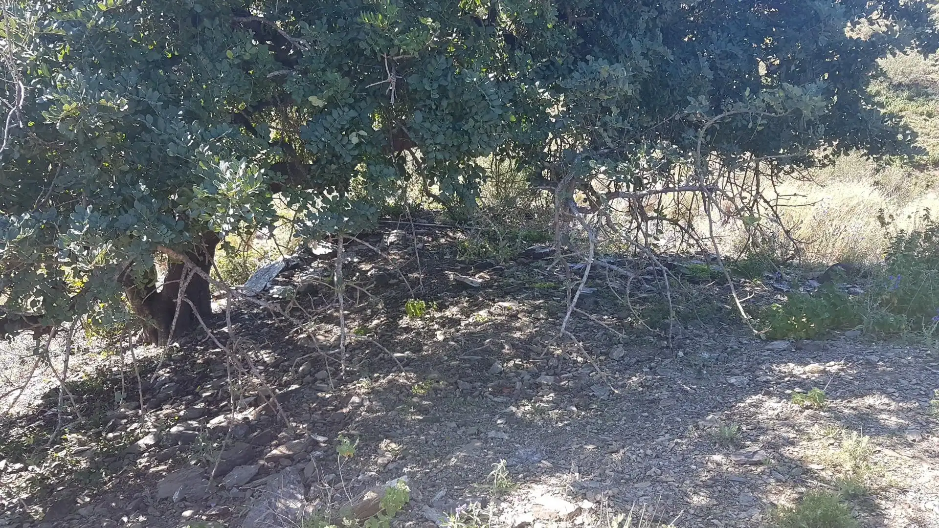 Terreni e lotti in vendita a Los Rueda, imagen 5