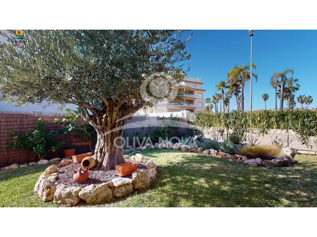 Jardín de Casa o chalet en venta en Oliva con Jardín privado