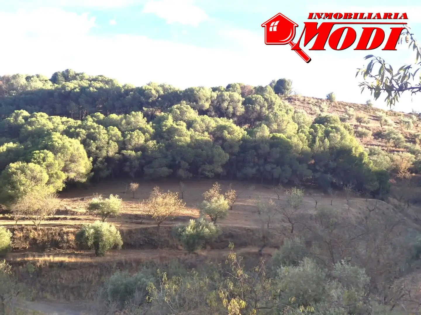 Finca rústica en venda en Villamena amb Jardí privat