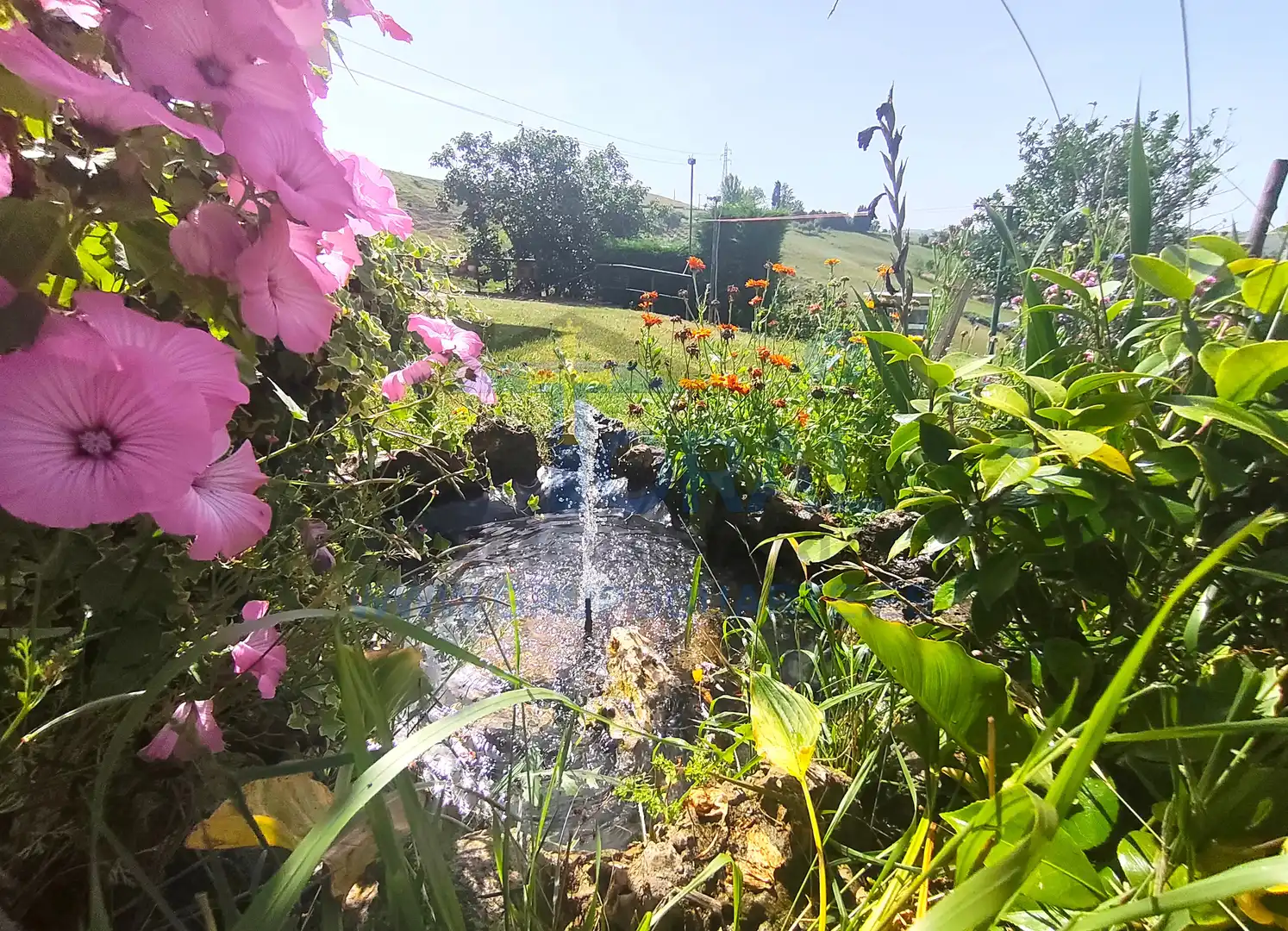 Jardí de Casa o xalet en venda en Siero amb Calefacció, Jardí privat i Parquet
