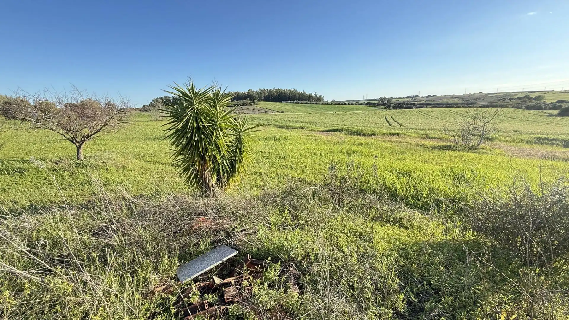 Terreno en venta en Gibraleón