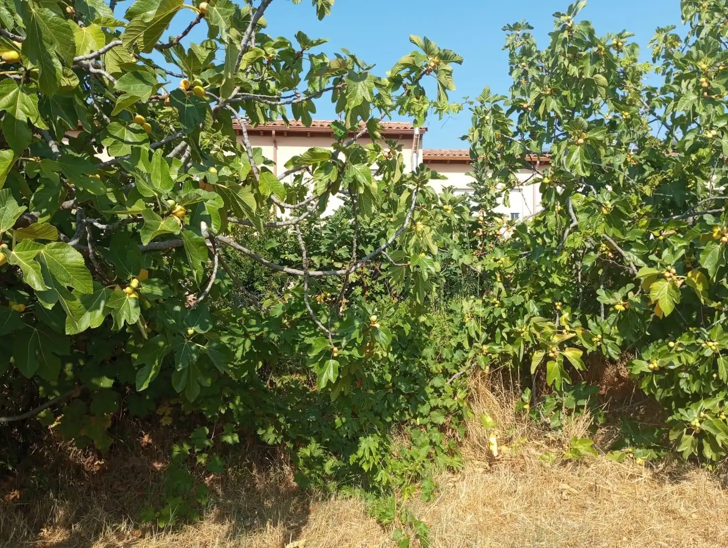 Terreni e lotti in vendita a poligono 3 parcela176, imagen 7