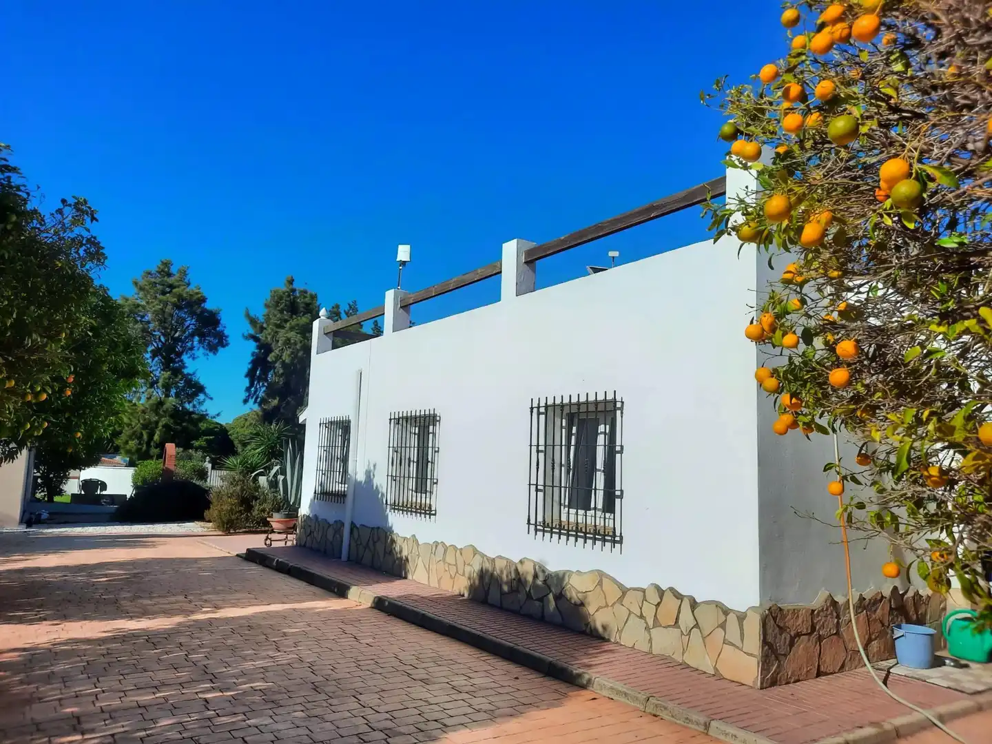Villa zum Verkauf in Pelagatos - Pago del Humo, imagen 28
