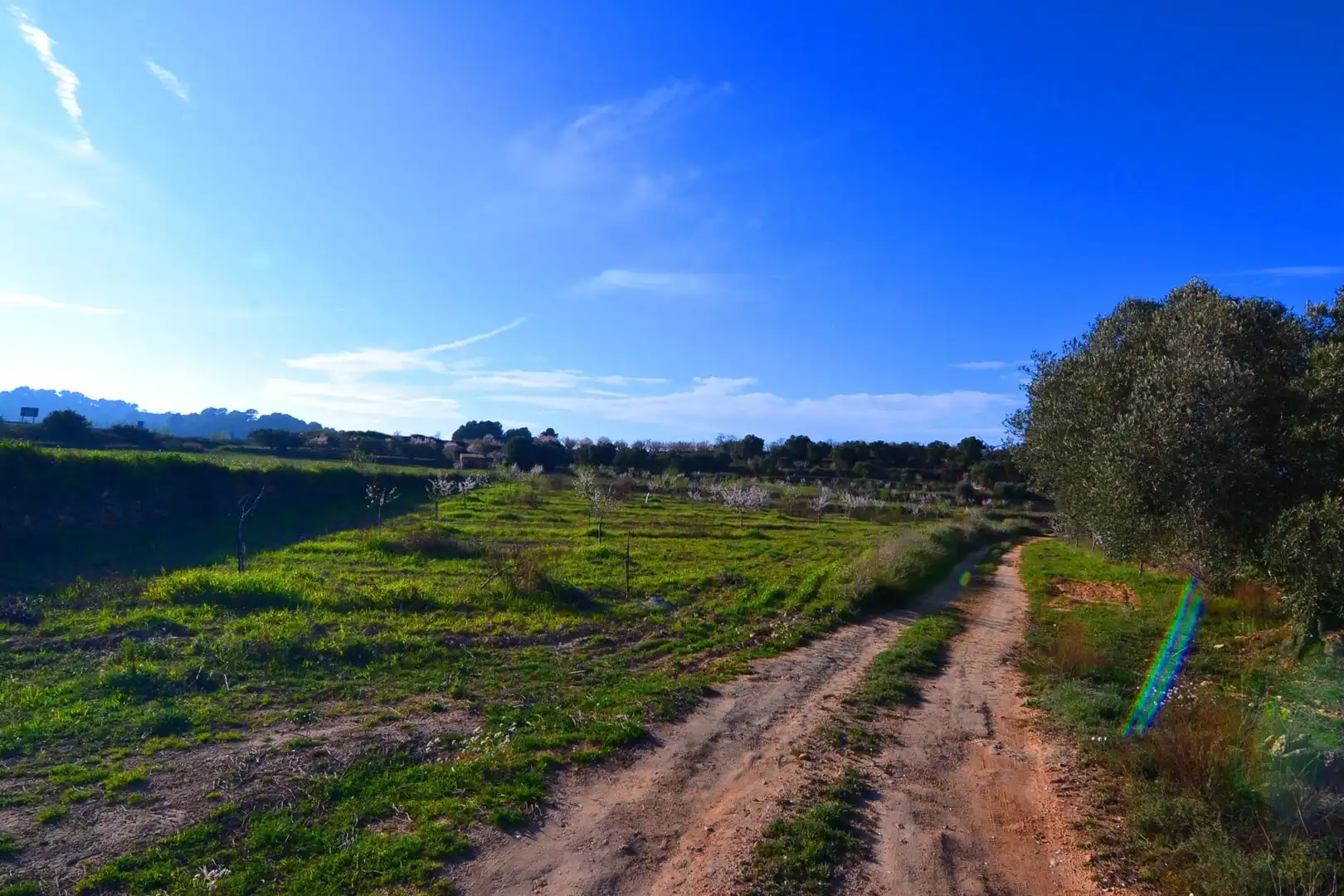 Rural land for sale in Gandesa, imagen 12