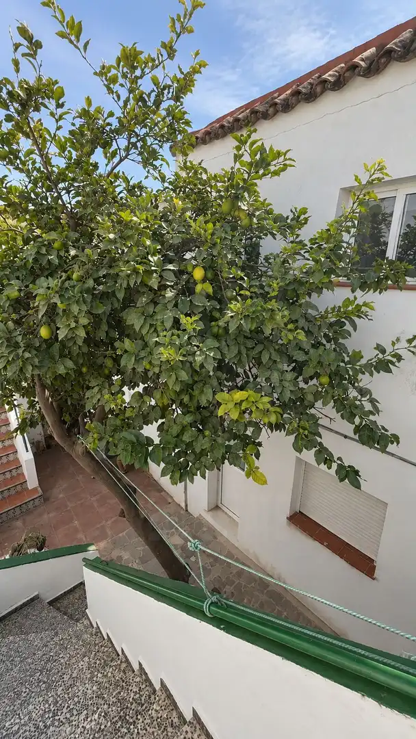 Ático en venta en Tarifa ciudad, imagen 7