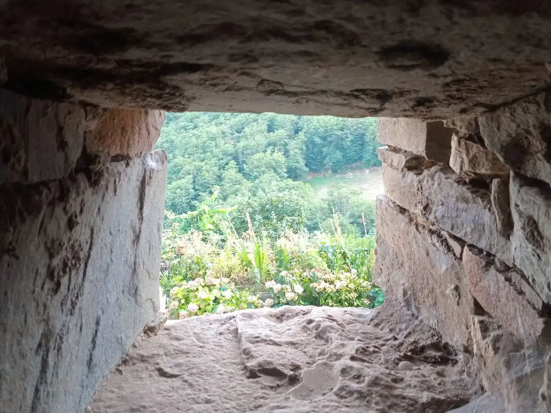 Casa o xalet en venda en Tineo amb Terrassa