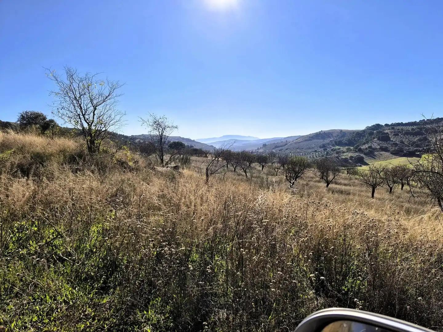 Rural land for sale in Alhama de Granada, imagen 9