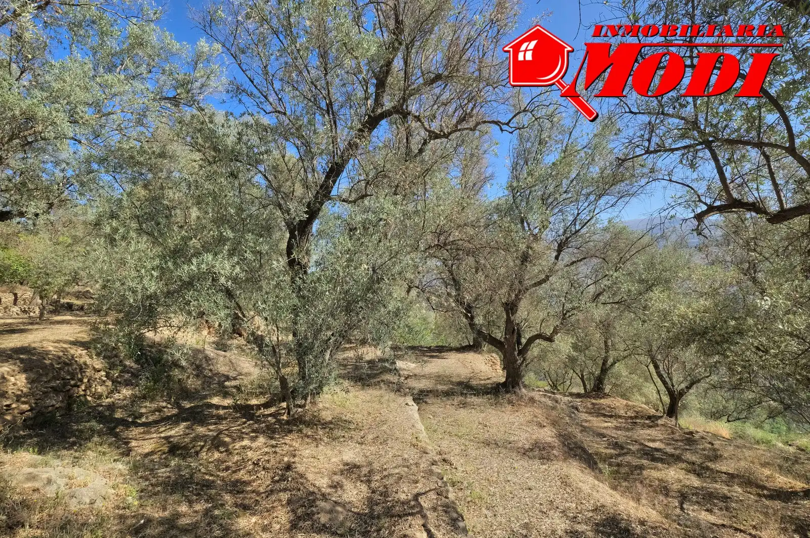 Terreni e lotti in vendita a El Pinar, imagen 47