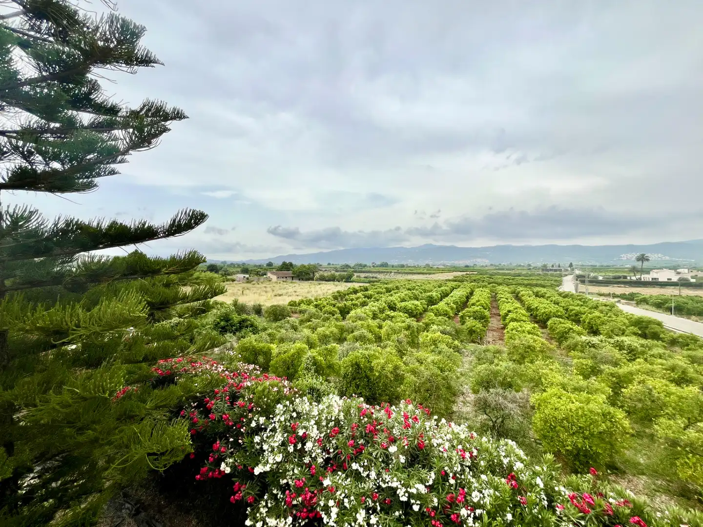 Casa o xalet en venda en El Ràfol d'Almúnia amb Calefacció, Jardí privat i Terrassa