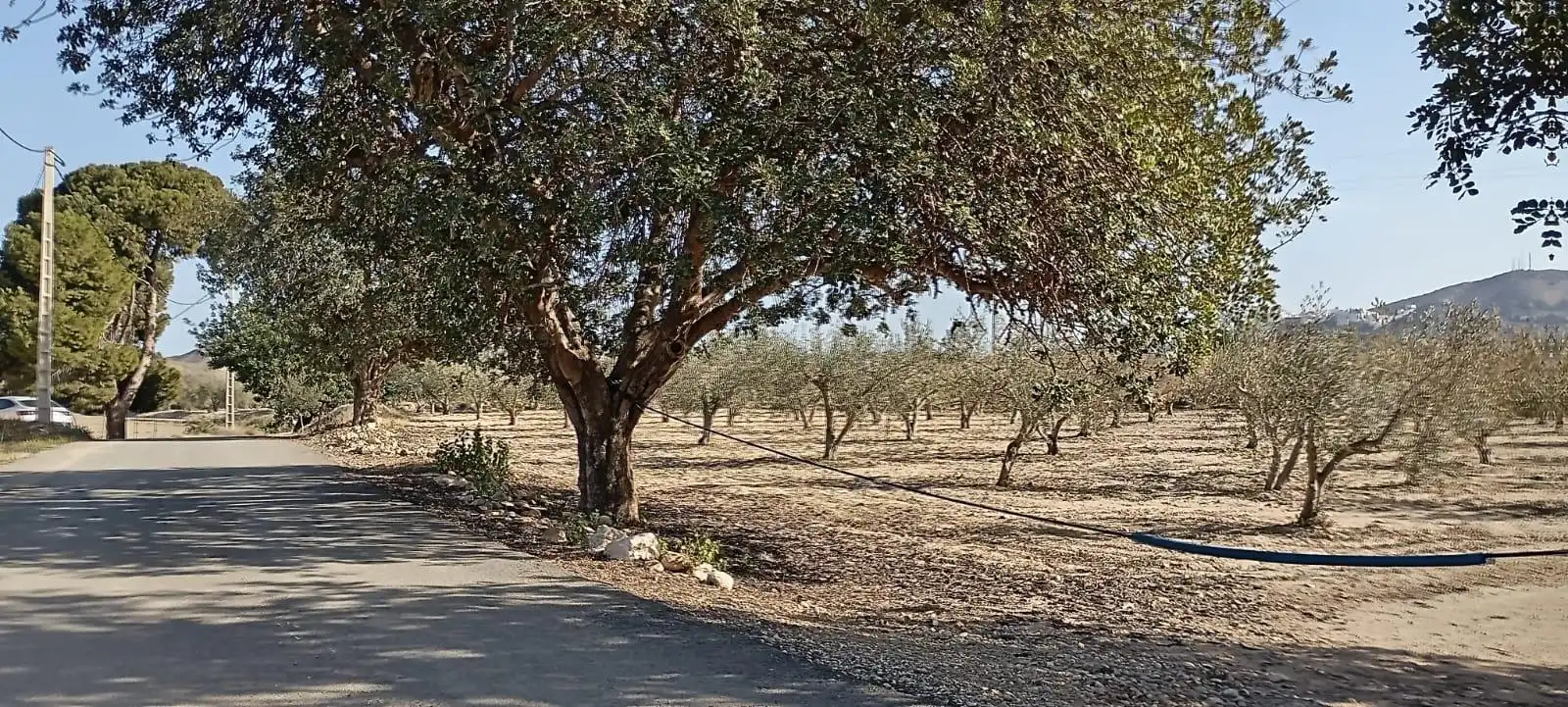 Maison avec jardin à vendre à Mojácar Pueblo, imagen 27