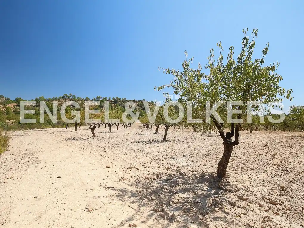 Finca rústica en venda a Requena