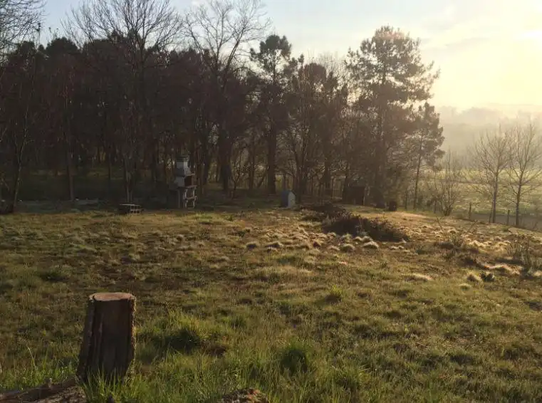 Lands and plots for sale in Couso, imagen 8