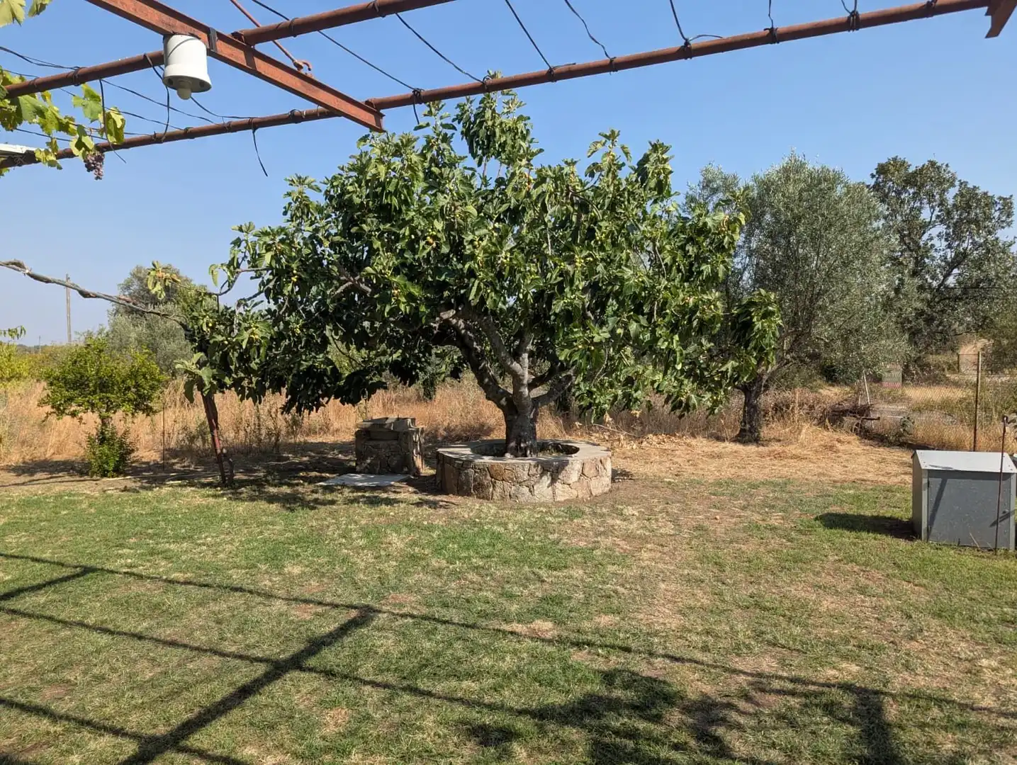 Rural land for sale in Villanueva de la Vera, imagen 12